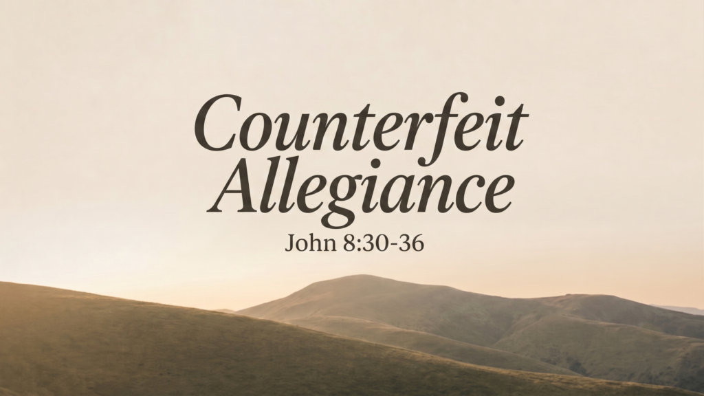Counterfeit Allegiance